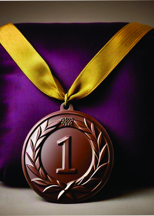 MEDALLAS DE PREMIACION  6 CMS X 24 UNIDADES